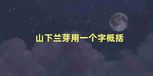 山下兰芽用一个字概括 儒林外史概括